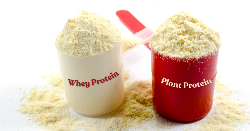 Whey Protein vs Plant Protein